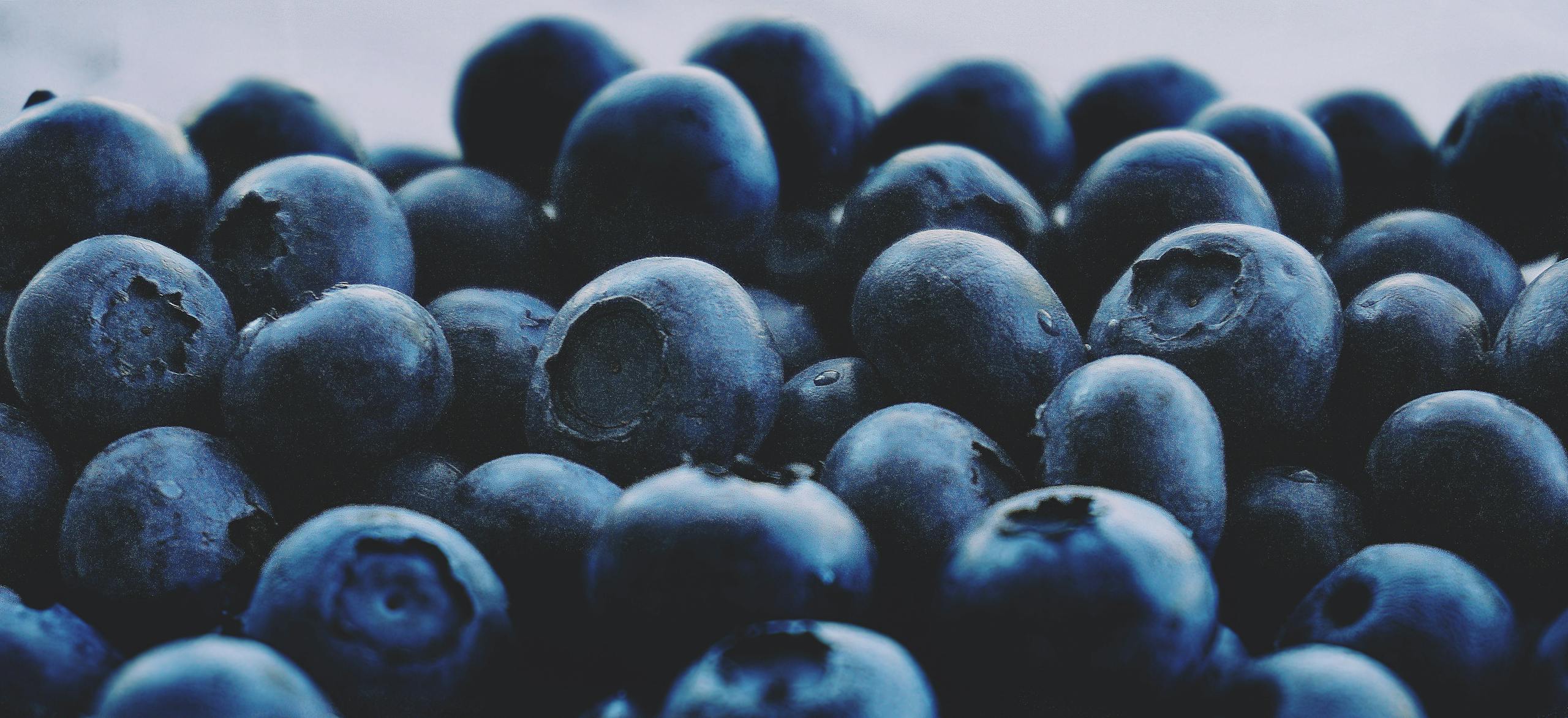 A detailed close-up of fresh and juicy blueberries, showcasing vibrant color and texture.